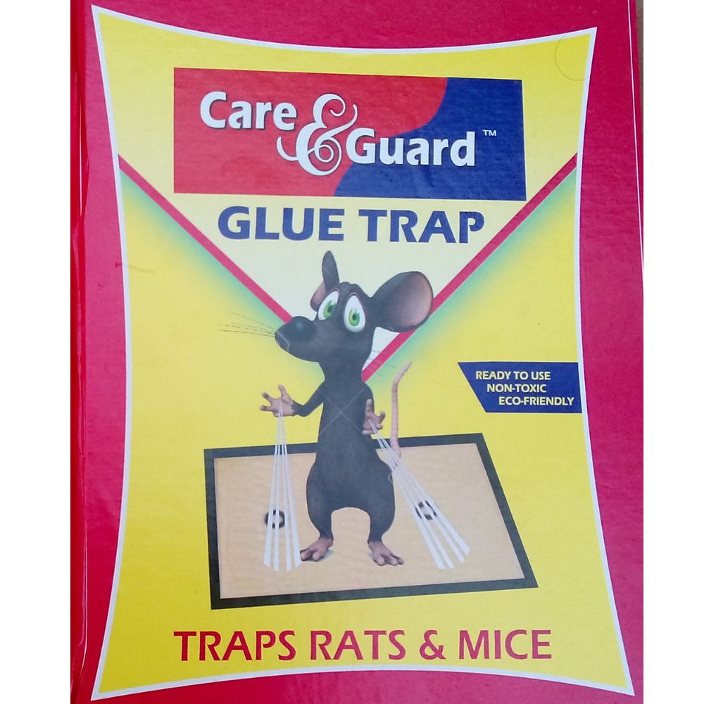 Rat Pad Big (2 Pieces) careandguard.in
